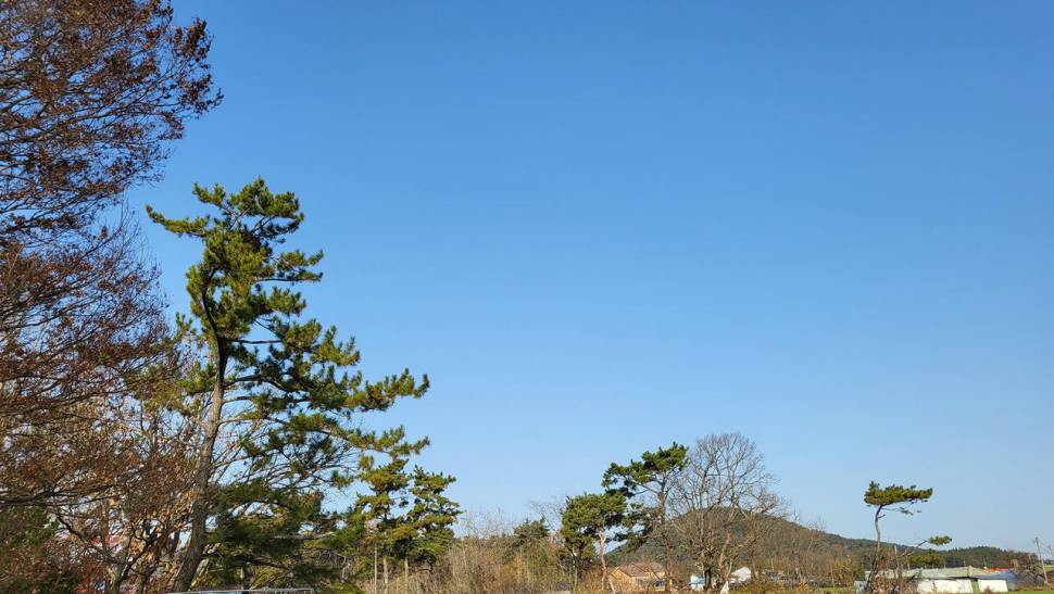 겨울에도 호조황 붕어낚시 (조황조행기 - 화보조행기)
