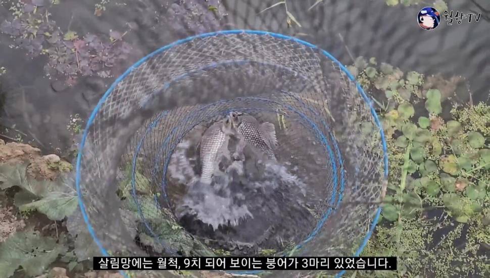 담양 봉산수로 현지인 애장터에서 놀다가 왔어요 (조황조행기 - 화보조행기)