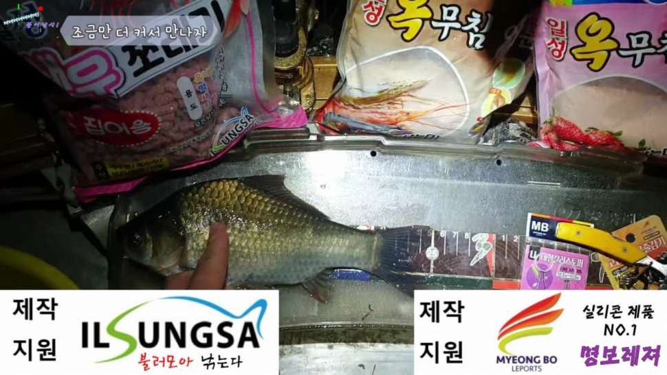 나리나리 희나리 바늘물고 오구요 (조황조행기 - 화보조행기)