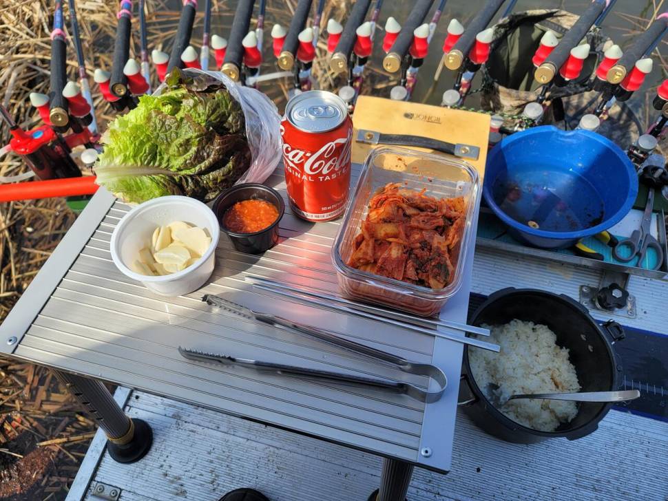 영암에 찾아온 봄 (조황조행기 - 화보조행기)
