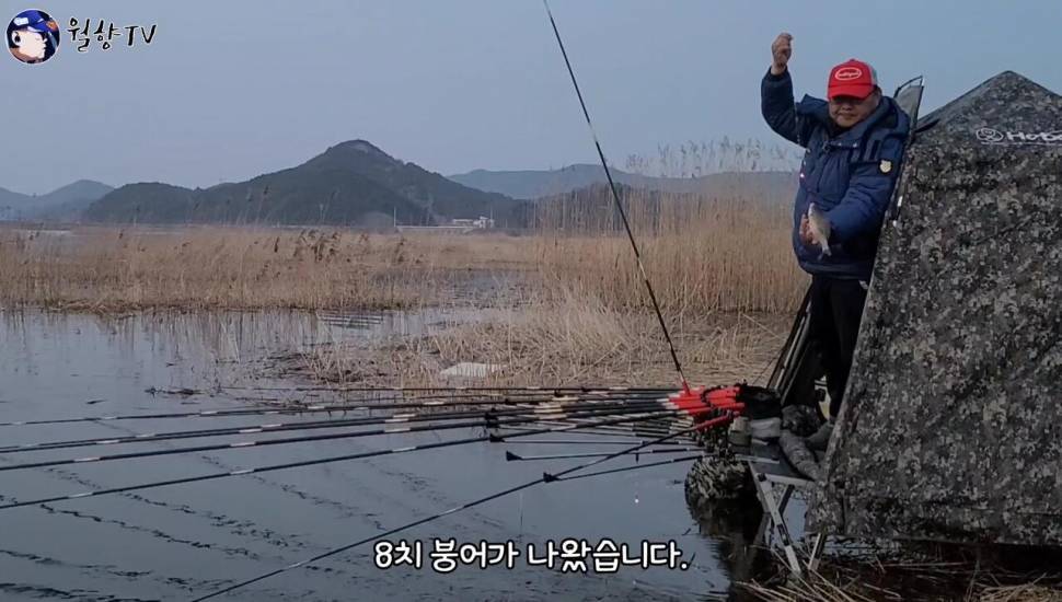 붕어낚시 홍성호에서 6치부터 4짜까지 마릿수 성공 (조황조행기 - 화보조행기)