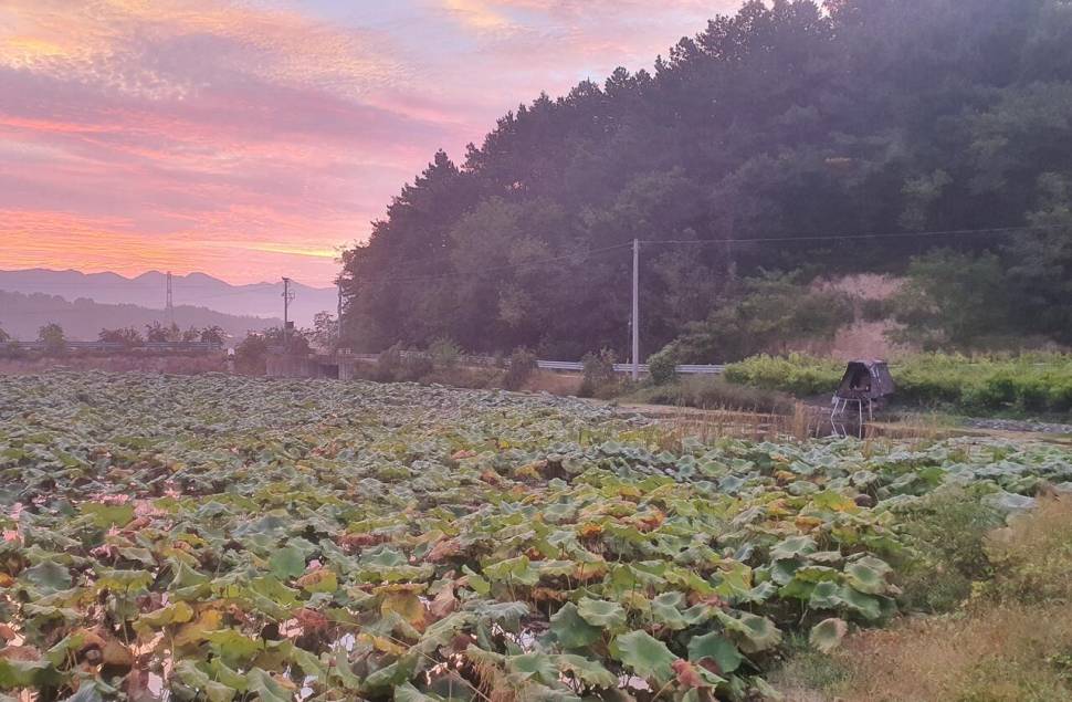달빛아래 꾼 조행기 (조황조행기 - 화보조행기)