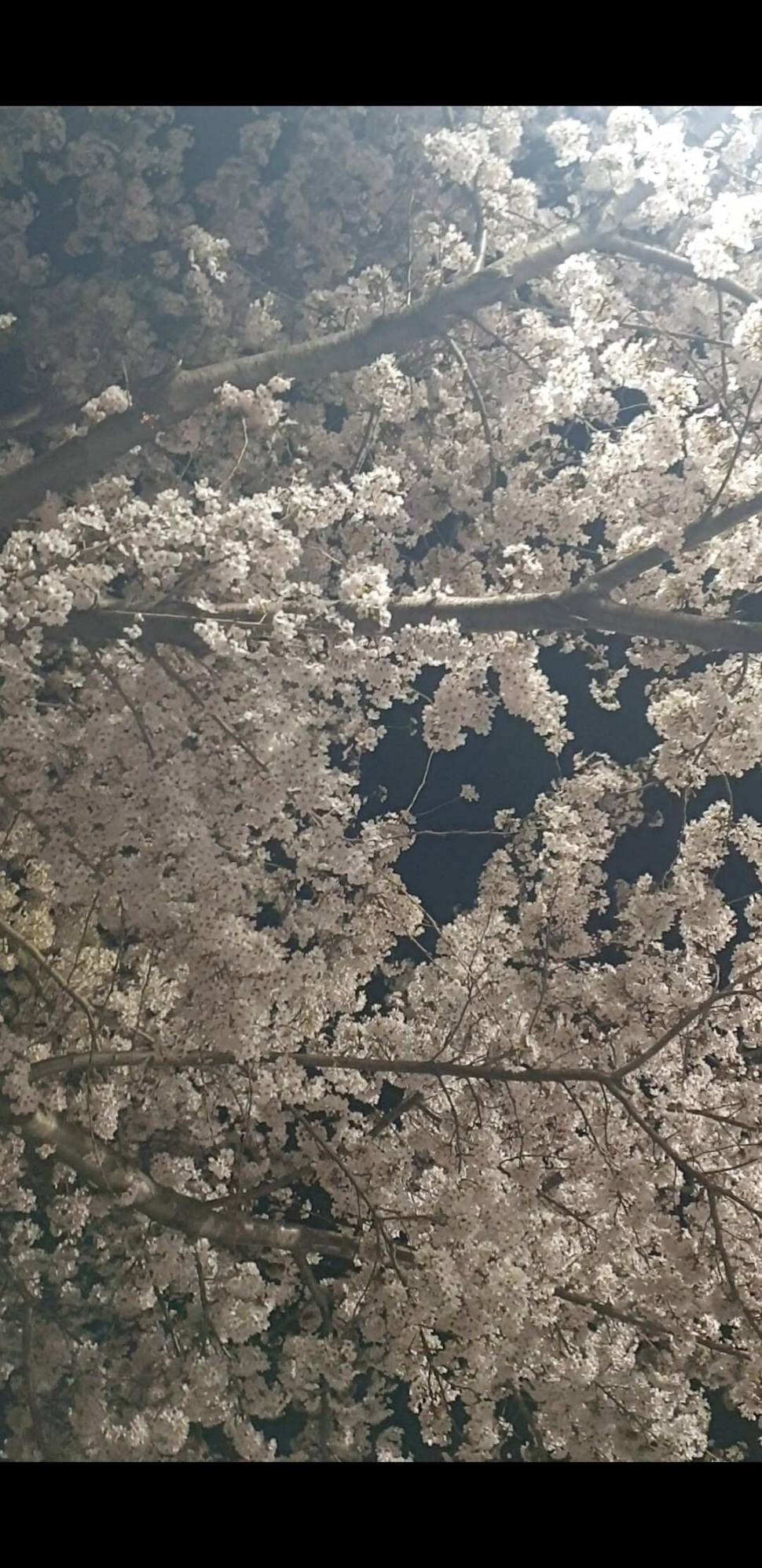 3짜와 4짜의 차이는 단 1cm (조황조행기 - 화보조행기)