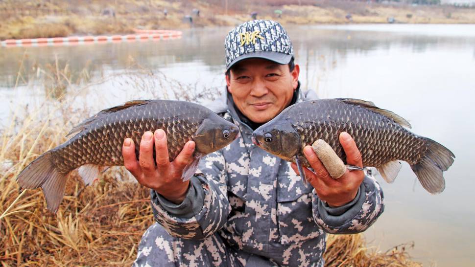 한겨울에 낚인 4짜 붕어들 (조황조행기 - 화보조행기)