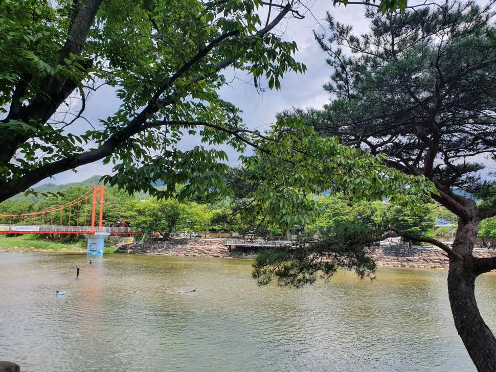 끝여름밤의 꿈을 찿아서 (조황조행기 - 화보조행기)