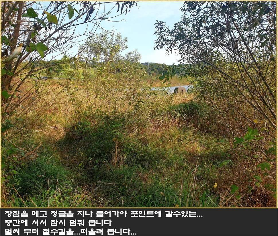 붕어에 낚이다 (조황조행기 - 화보조행기)