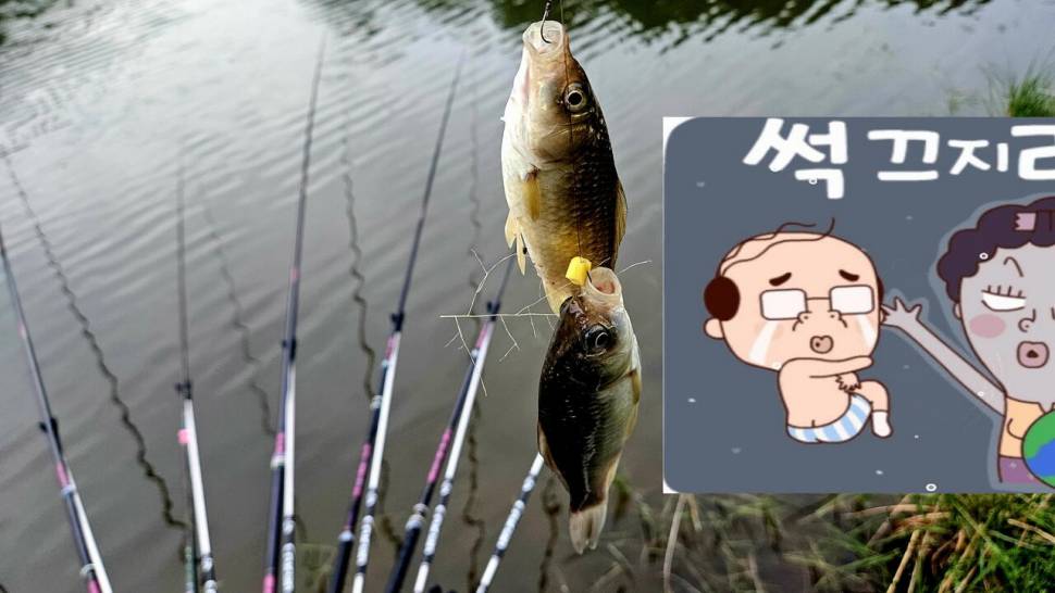 2025년 어신魚神 조우회의 5월 정기 출조 (조황조행기 - 화보조행기)