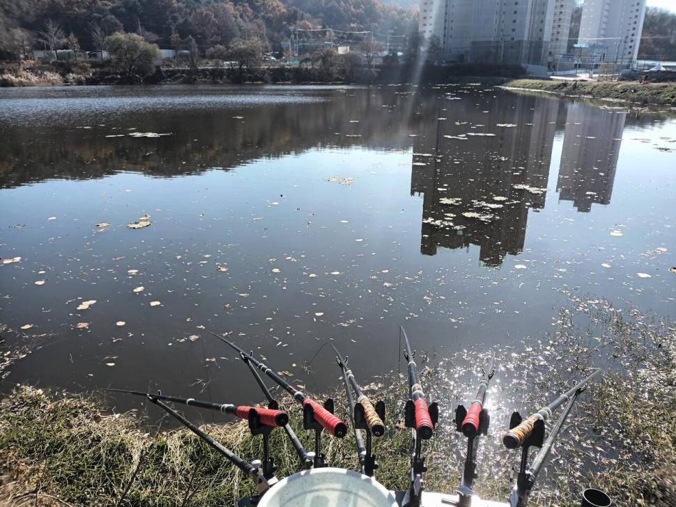 2박3일 낚시을 마치고 (조황조행기 - 화보조행기)