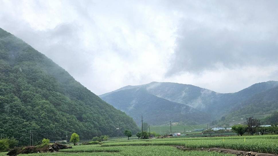 오라지 다시는 오나봐라 (조황조행기 - 화보조행기)
