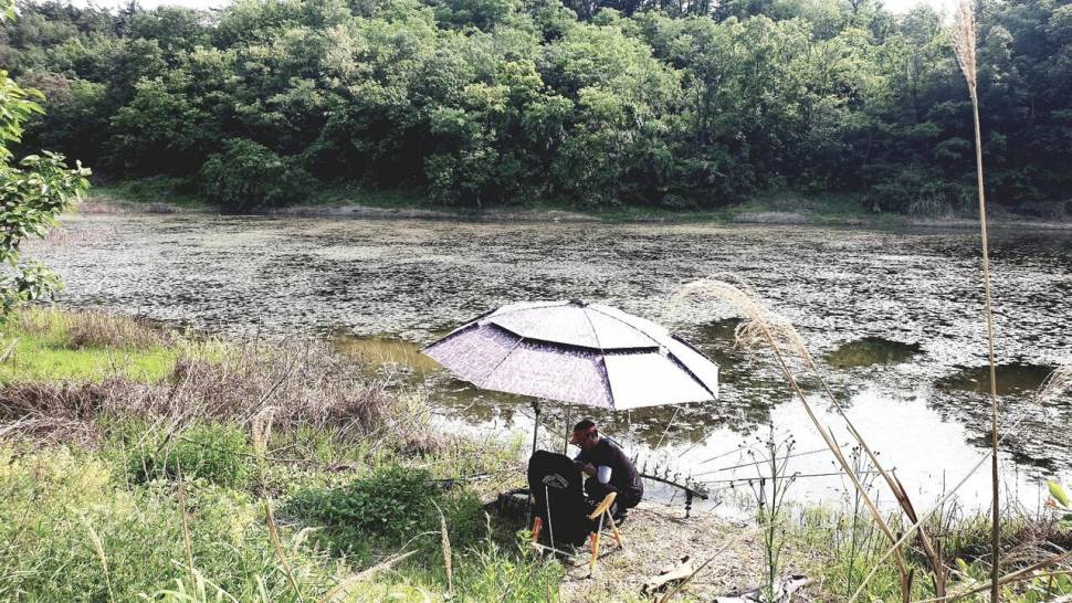 피싱 패밀리 (조황조행기 - 화보조행기)