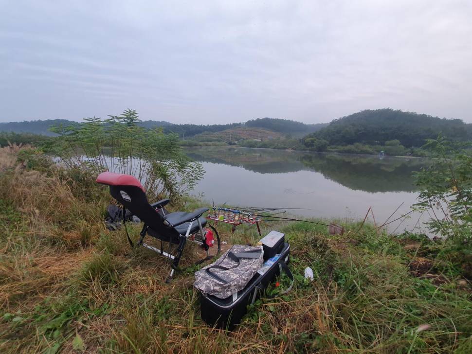 붕어는 언제든지 볼 수 있다 (조황조행기 - 화보조행기)