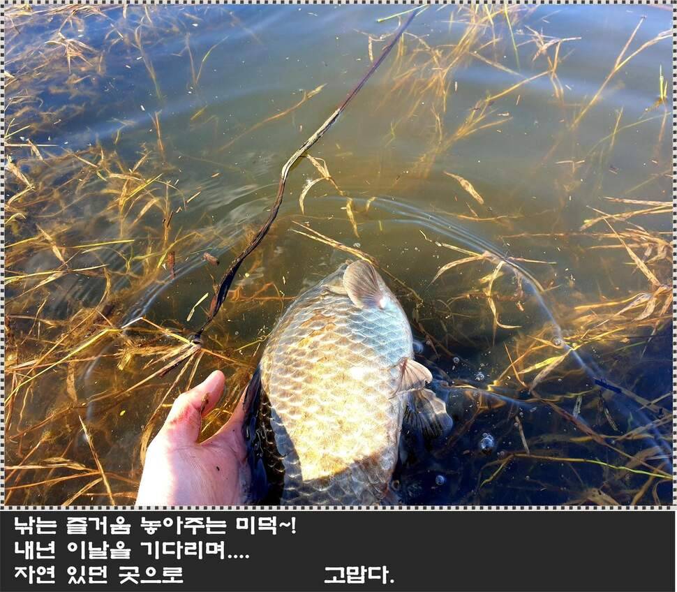 fc6bade4-8849-4490-830e-987ff7482046.jpg