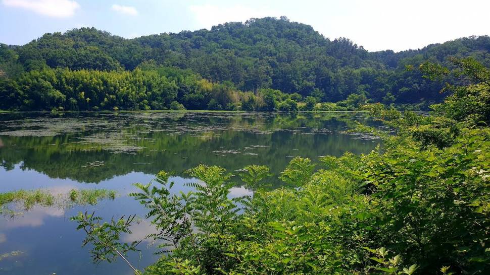 노지 조행기 시즌 14화 번출 (조황조행기 - 화보조행기)