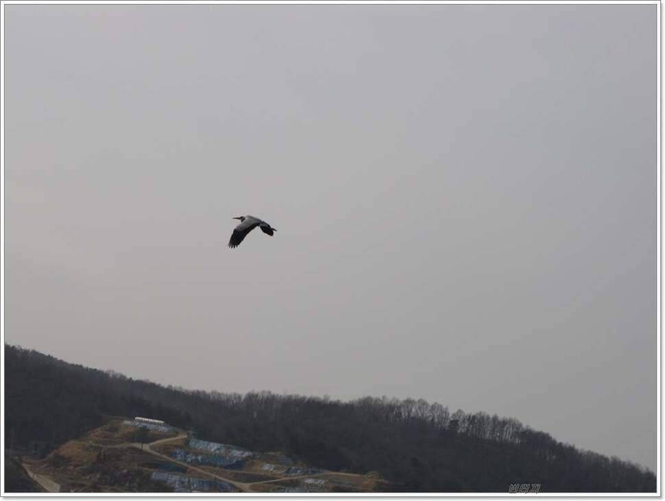 아들과 동행 (조황조행기 - 화보조행기)