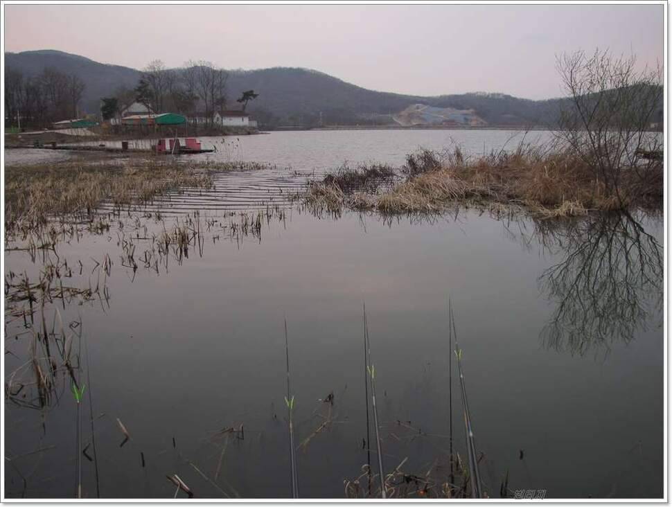 아들과 동행 (조황조행기 - 화보조행기)