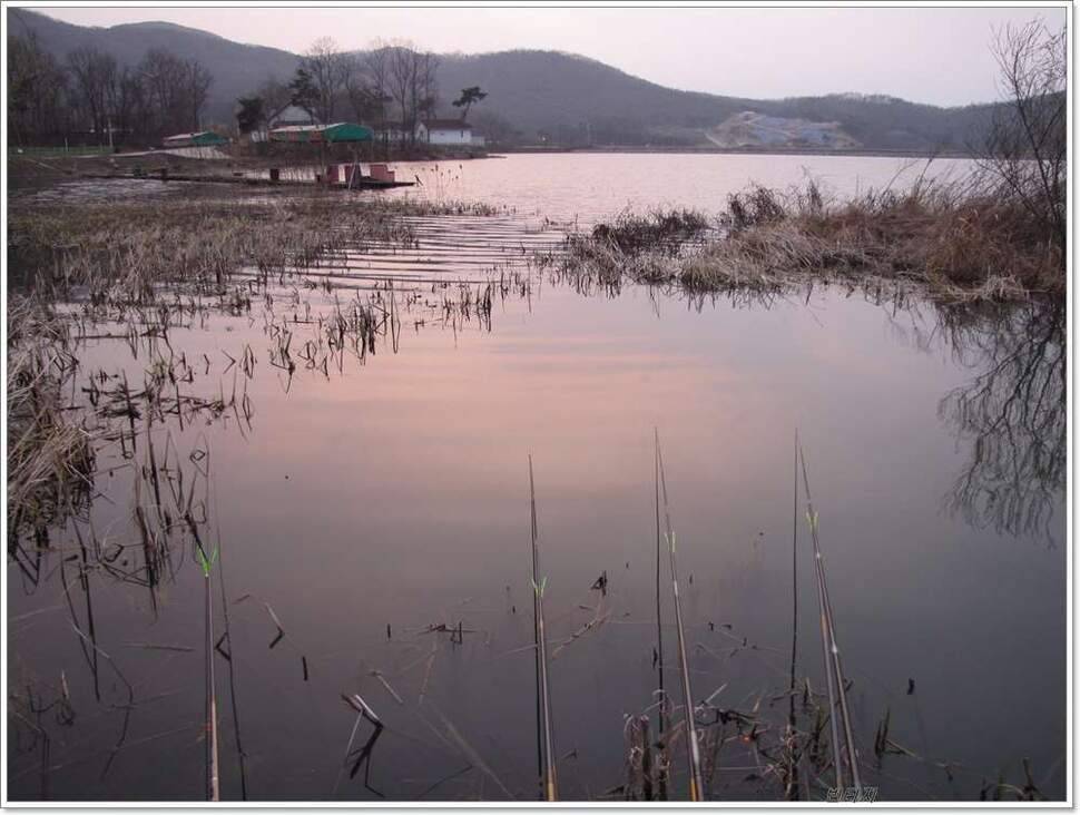아들과 동행 (조황조행기 - 화보조행기)