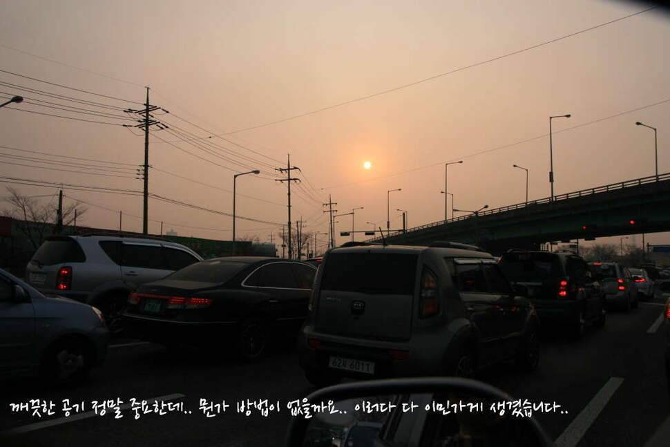 얼쑤평택호 봄이 왔네 (조황조행기 - 화보조행기)