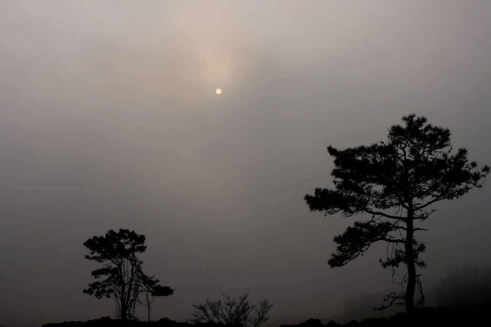 얼쑤평택호 봄이 왔네 (조황조행기 - 화보조행기)