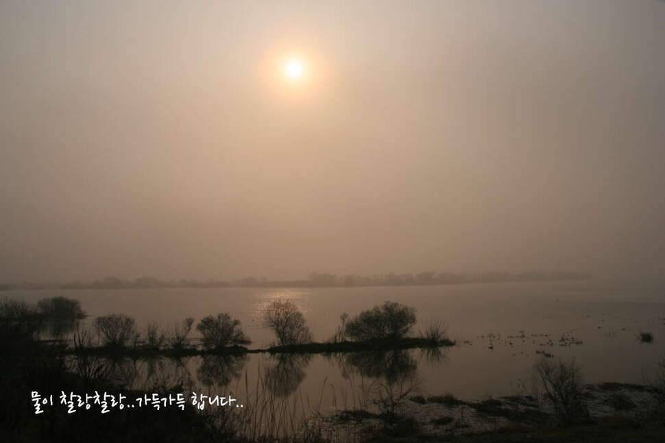 얼쑤평택호 봄이 왔네 (조황조행기 - 화보조행기)