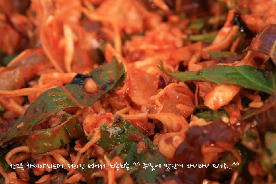 얼쑤평택호 봄이 왔네 (조황조행기 - 화보조행기)