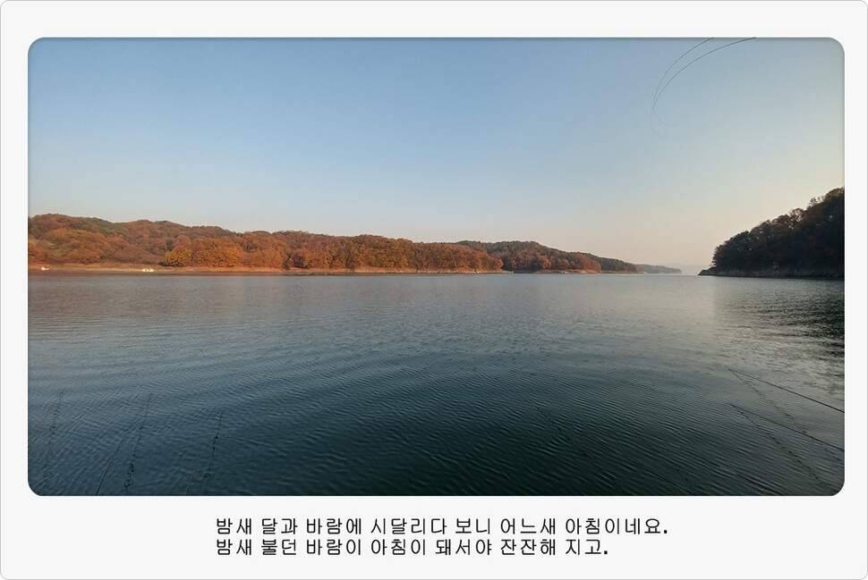 앵글러 36 충주 제일낚시터 대회 참가 (조황조행기 - 화보조행기)