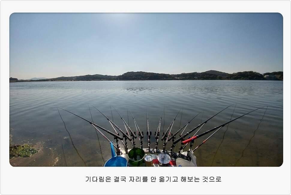 앵글러 35 (조황조행기 - 화보조행기)
