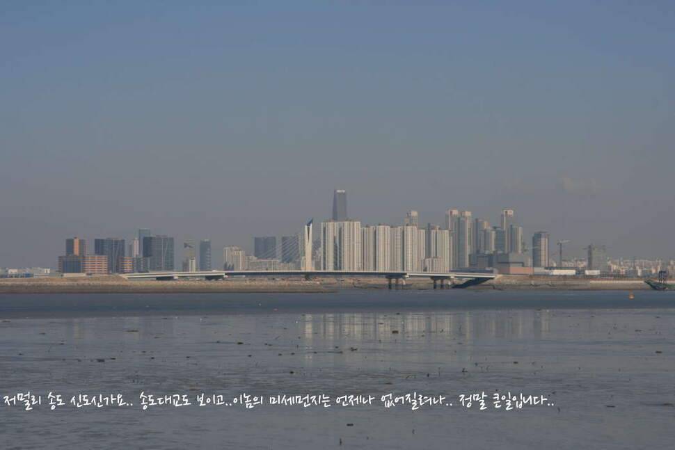 대부도 삼정수로 길음리 무박2일 (조황조행기 - 화보조행기)