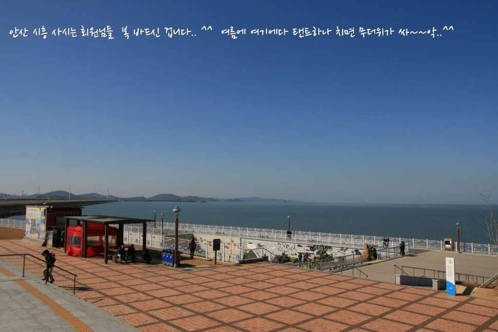 대부도 삼정수로 길음리 무박2일 (조황조행기 - 화보조행기)