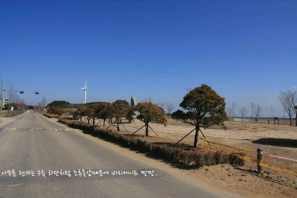 대부도 삼정수로 길음리 무박2일 (조황조행기 - 화보조행기)