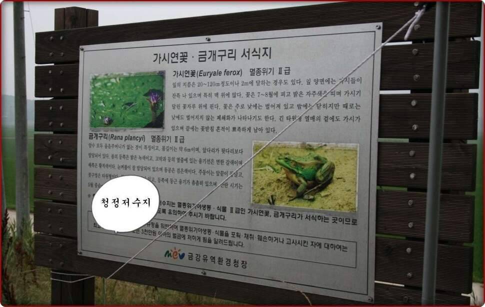 오랜만에 출조 (조황조행기 - 화보조행기)