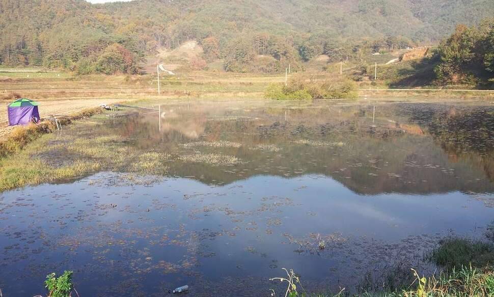 동내 소류지에서 (조황조행기 - 화보조행기)