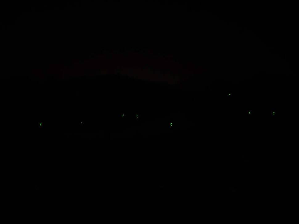 月下日記 그 세번째꽃보다 아름다운 월척 봄붕어 (조황조행기 - 화보조행기)