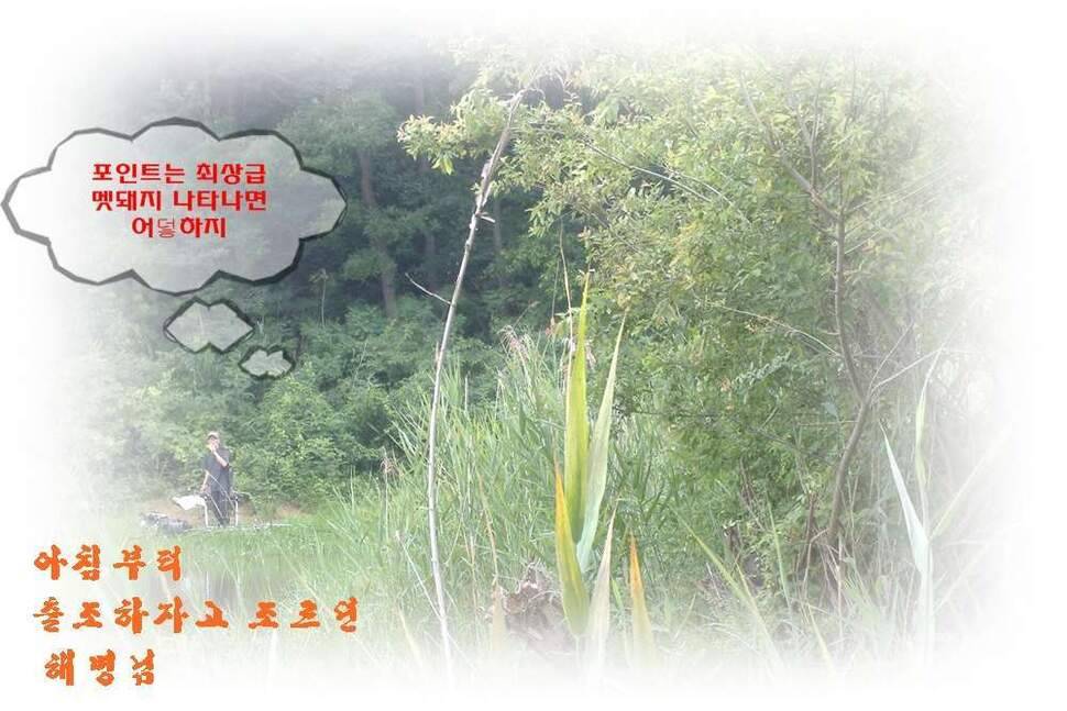 새물찬스 대향연 (조황조행기 - 화보조행기)