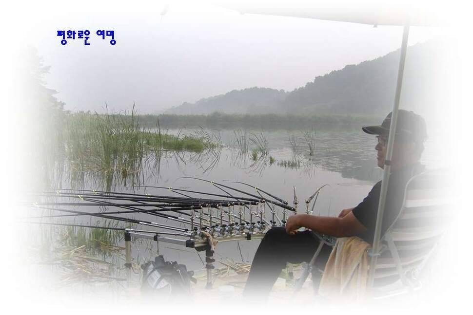 새물찬스 대향연 (조황조행기 - 화보조행기)