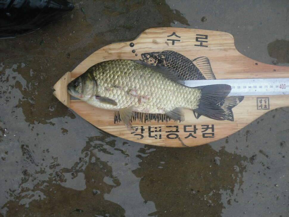은포지에서의 만남 (조황조행기 - 화보조행기)
