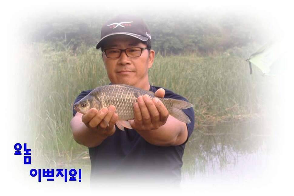 새물찬스 대향연 (조황조행기 - 화보조행기)
