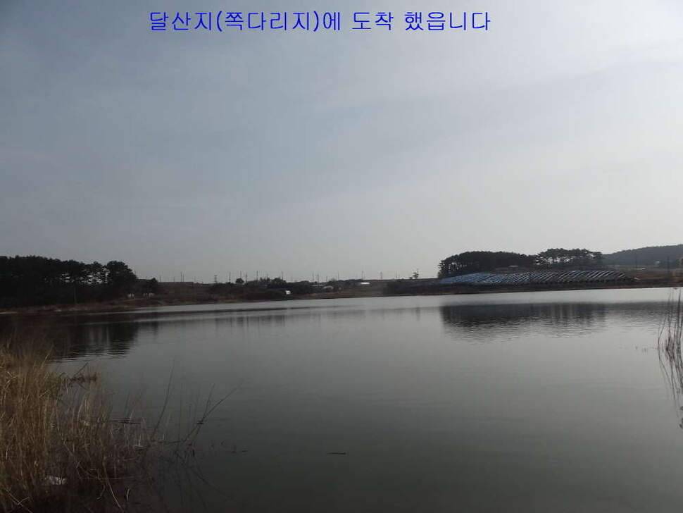 태안 달산지찍고 서산 인평지 (조황조행기 - 화보조행기)