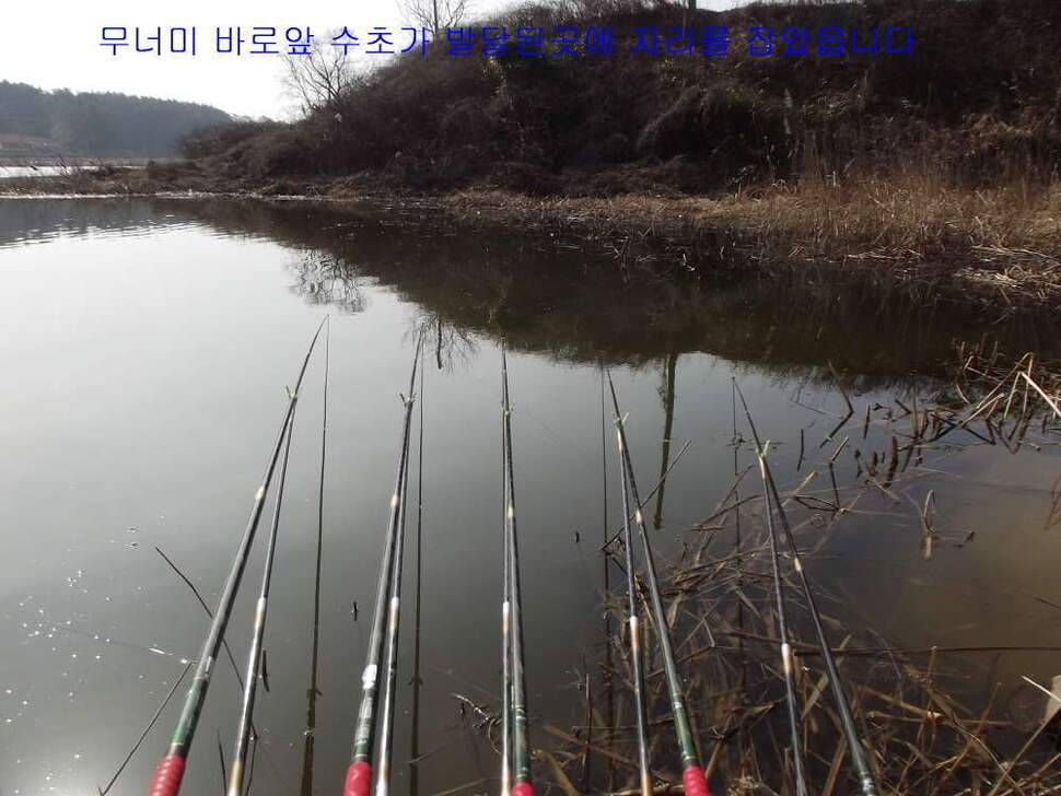 태안 달산지찍고 서산 인평지 (조황조행기 - 화보조행기)