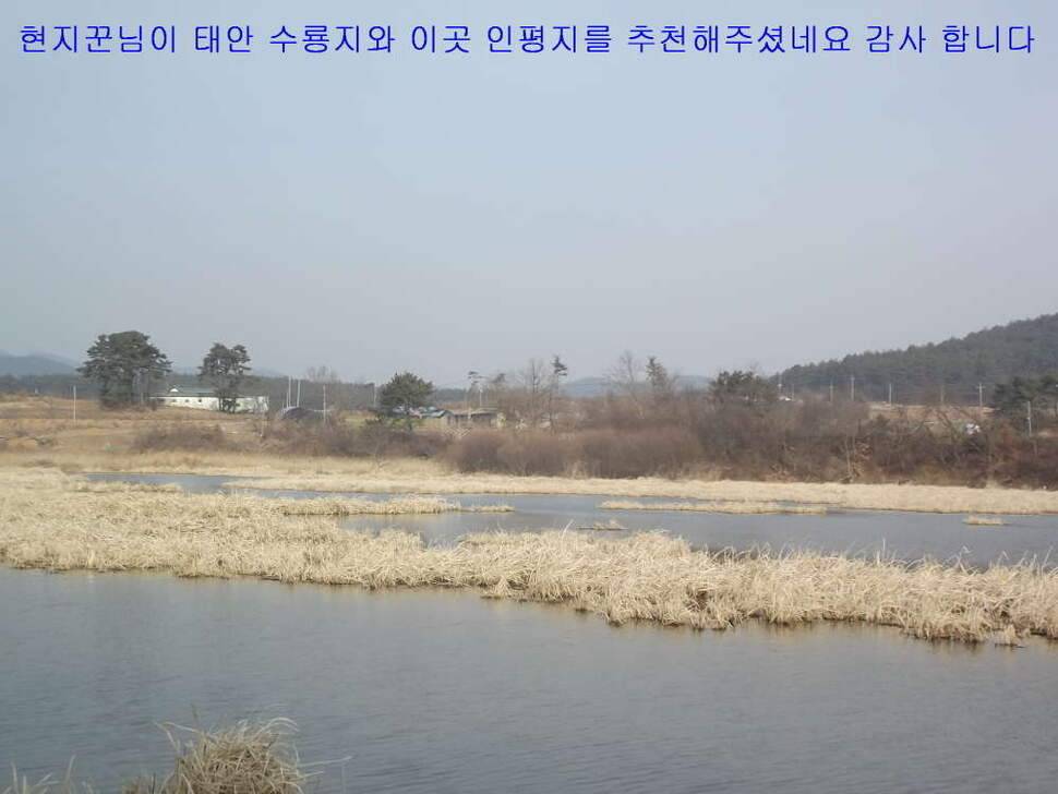 태안 달산지찍고 서산 인평지 (조황조행기 - 화보조행기)