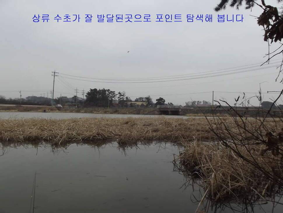 태안 달산지찍고 서산 인평지 (조황조행기 - 화보조행기)