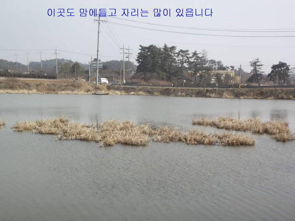 태안 달산지찍고 서산 인평지 (조황조행기 - 화보조행기)