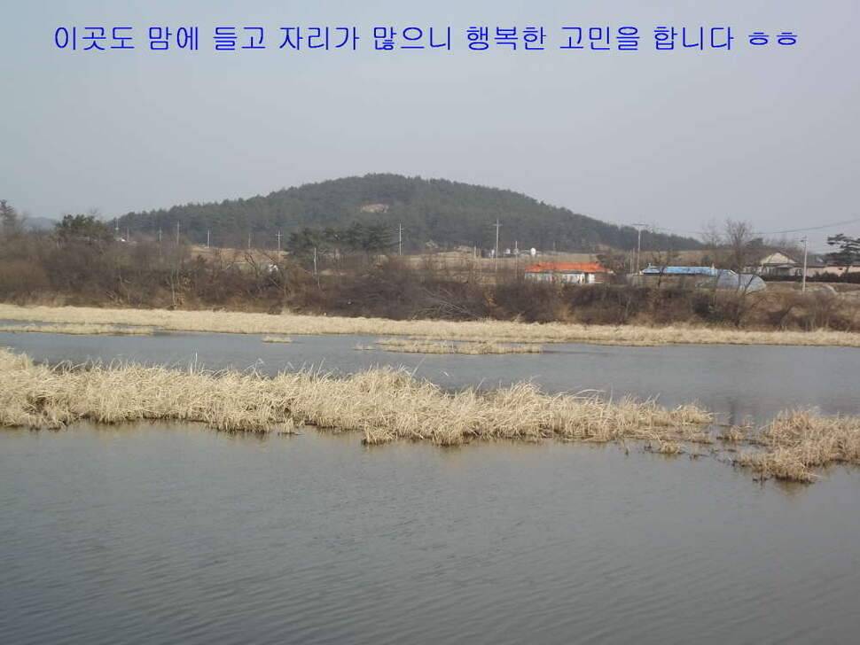 태안 달산지찍고 서산 인평지 (조황조행기 - 화보조행기)