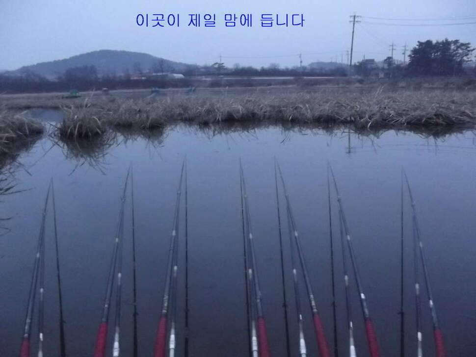 태안 달산지찍고 서산 인평지 (조황조행기 - 화보조행기)