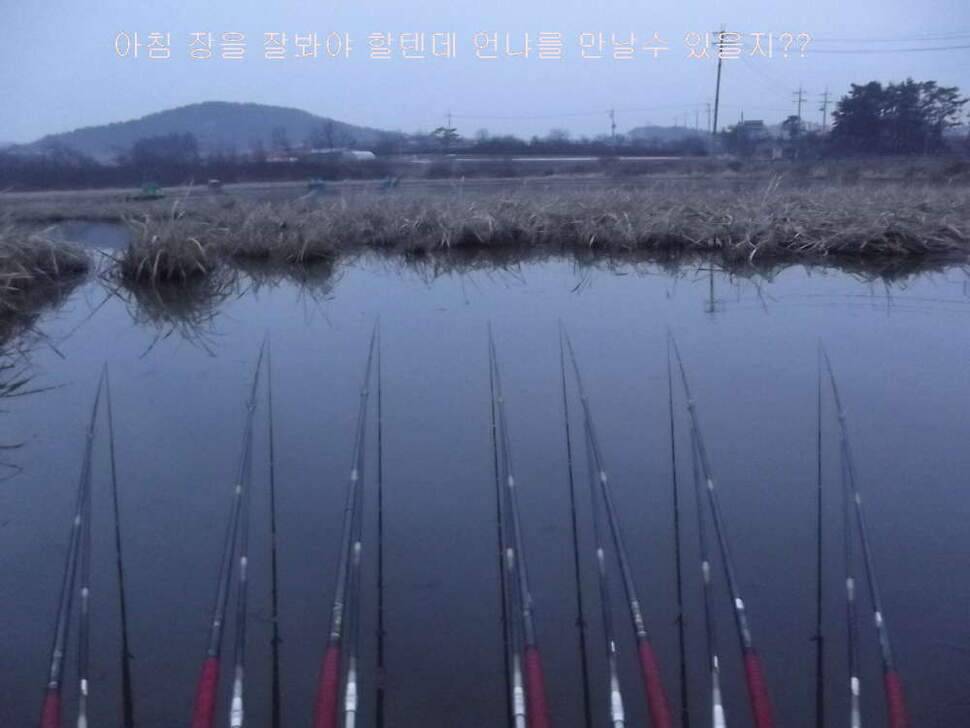 태안 달산지찍고 서산 인평지 (조황조행기 - 화보조행기)