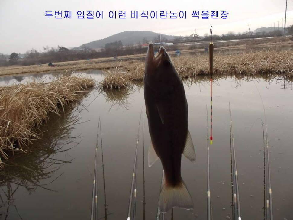 태안 달산지찍고 서산 인평지 (조황조행기 - 화보조행기)
