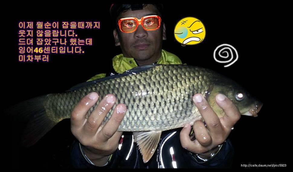 임실평지형저수지붕어낚시 (조황조행기 - 화보조행기)