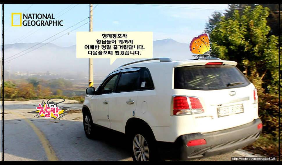 임실평지형저수지붕어낚시 (조황조행기 - 화보조행기)