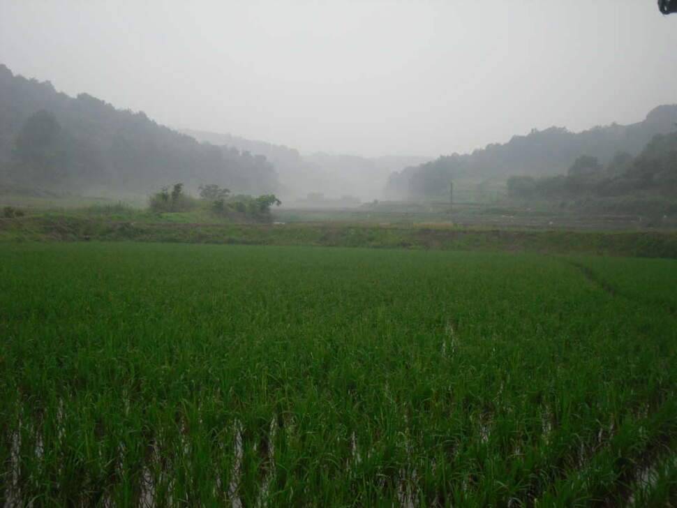 오랫만의 소류지 낚시 (조황조행기 - 화보조행기)