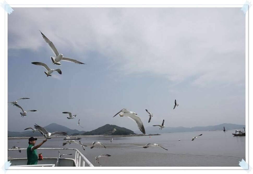 오름수위의 항포지 (조황조행기 - 화보조행기)