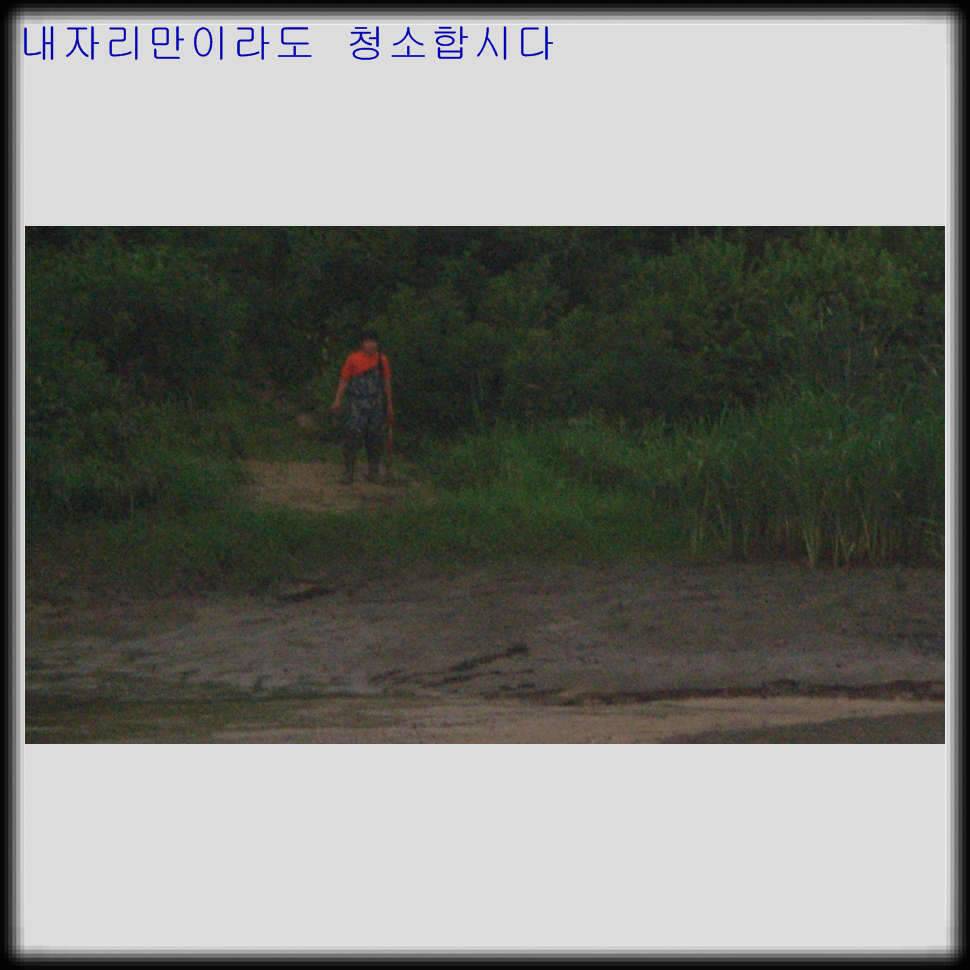 뽀록낚시첫오름수위 찬스 (조황조행기 - 화보조행기)